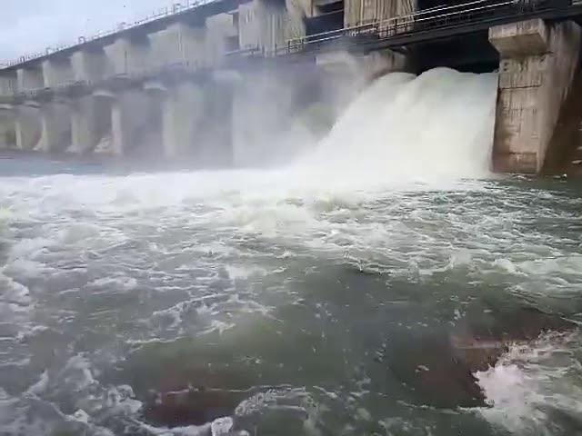 વરસાદને કારણે જળાશયો&nbsp;છલોછલ