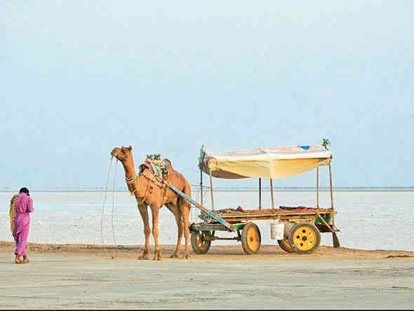 વિશ્વના શ્રેષ્ઠ પર્યટન ગામોમાં ગુજરાતના ધોરડો-કચ્છનો&nbsp;સમાવેશ