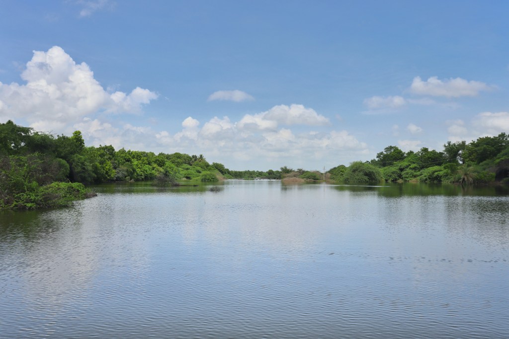 અદાણી ફાઉન્ડેશનના ‘હરિત પર્યાવરણ કી એક પહેલ’ થકી ગ્રીન કવર વધારી, જૈવ વિવિધતા અને ટકાઉ રોજગારીમાં&nbsp;યોગદાન