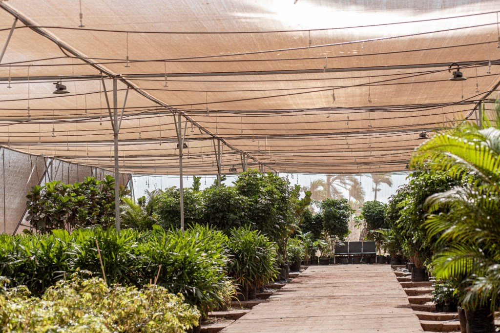 સરદાર વલ્લભભાઈ પટેલ ઇન્ટરનેશનલ એરપોર્ટ સ્માર્ટ સિંચાઈથી દૈનિક 1,32,000+ લોકોની જરૂરિયાત જેટલા પાણીની બચત&nbsp;કરશે