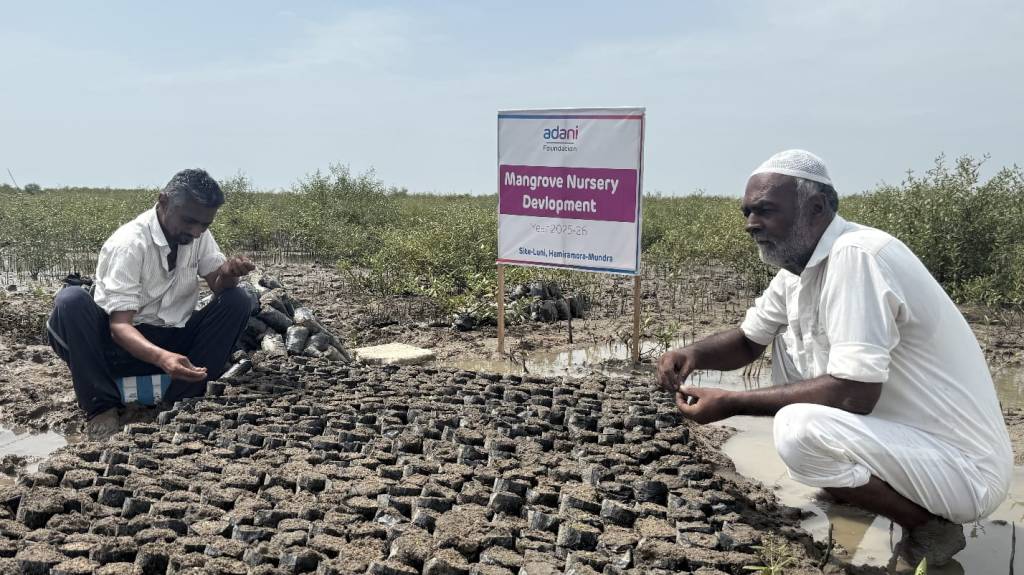 અદાણી ફાઉન્ડેશન દ્વારા આંતરરાષ્ટ્રીય મેન્ગ્રોવ દિવસની ઉજવણી કરવામાં&nbsp;આવી