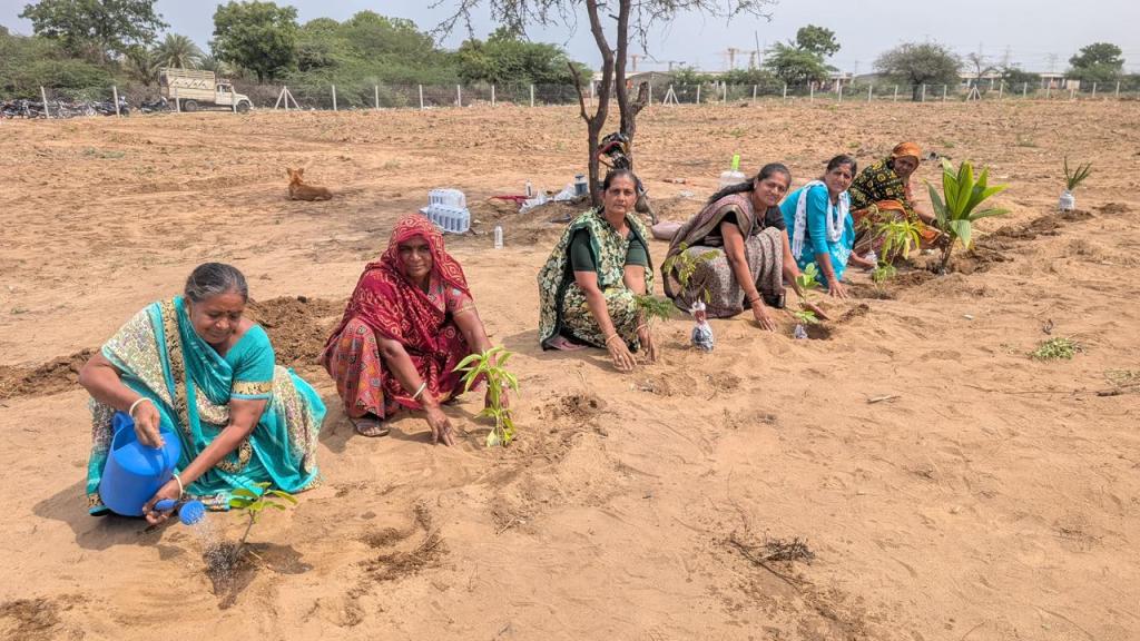 અદાણી ફાઉ.ને ટૂંડા ગામમાં વિકસાવ્યું ‘અદાણી વન’ 